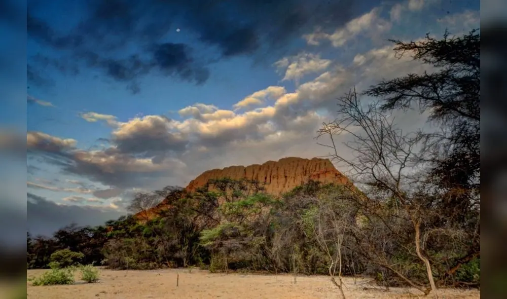 Santuario Histórico Bosque de Pómac ingresó dentro de top 100 de los Green Destinations Story Awards, lo que le permitió su recategorización. Foto: Andina