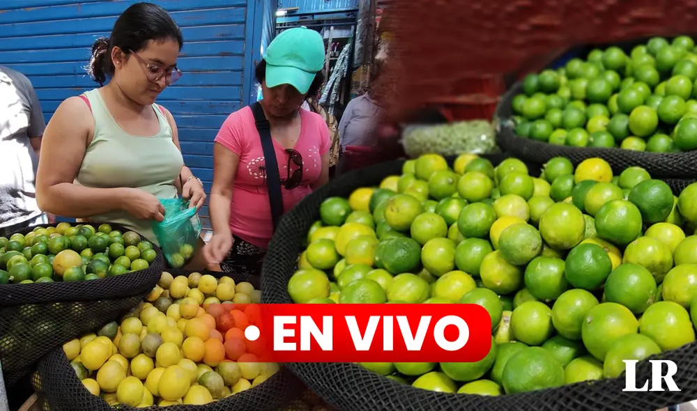 Entérate cual es el precio del limón en las diferentes regiones del Perú. Foto: composición LR/Álvaro Lozano Entérate cual es el precio del limón en las diferentes regiones del Perú. Foto: composición LR/Álvaro Lozano