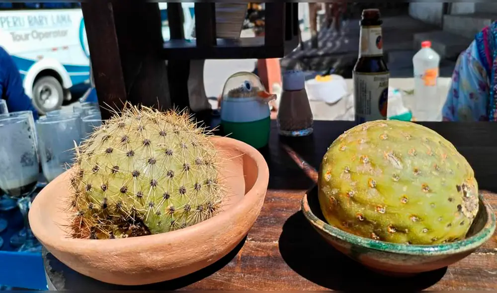 Fruto bendito. Sirve para preparar cocteles, reemplaza al limón. Foto: Rodrigo Talavera/LR