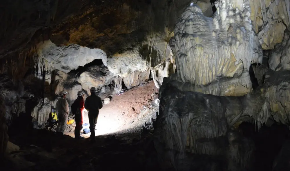 La diferencia morfológica del resto fósil llamó a la atención de los científicos. "Enseguida vi que no era un bebé neandertal", aseguró uno de ellos.Foto: referencial / Diario Sur La diferencia morfológica del resto fósil llamó a la atención de los científicos. "Enseguida vi que no era un bebé neandertal", aseguró uno de ellos.Foto: referencial / Diario Sur