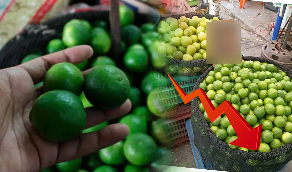 Reducción de precio del limón se registra en algunas regiones del Perú. Foto: composición LR/Steffano Trinidad/La República/URPI-LR