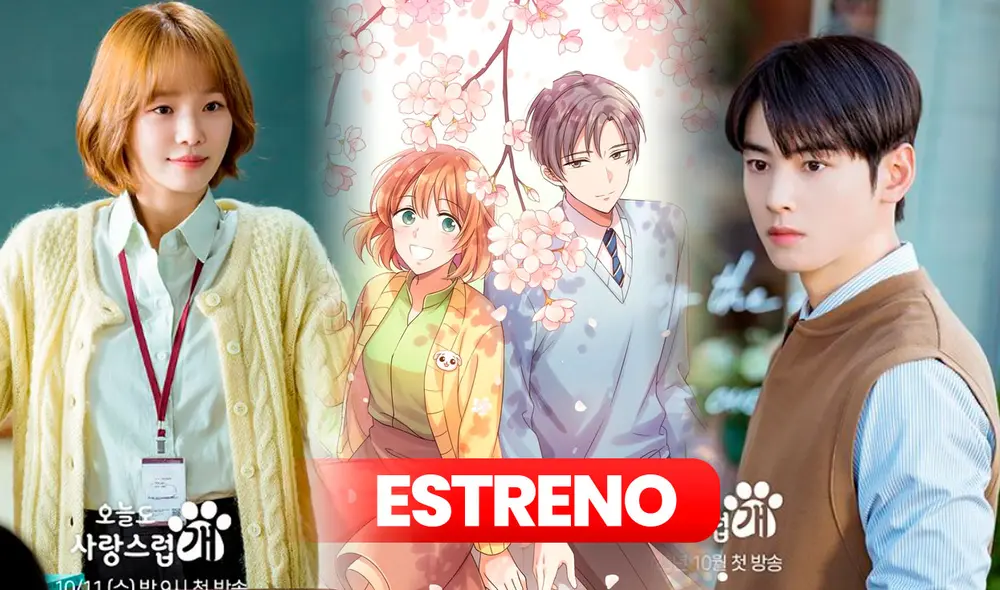 Cha Eunwoo y Park Gyu Young regresan con el drama 'A Good Day To Be A Dog'. Foto: composición LR/IG MBCDrama