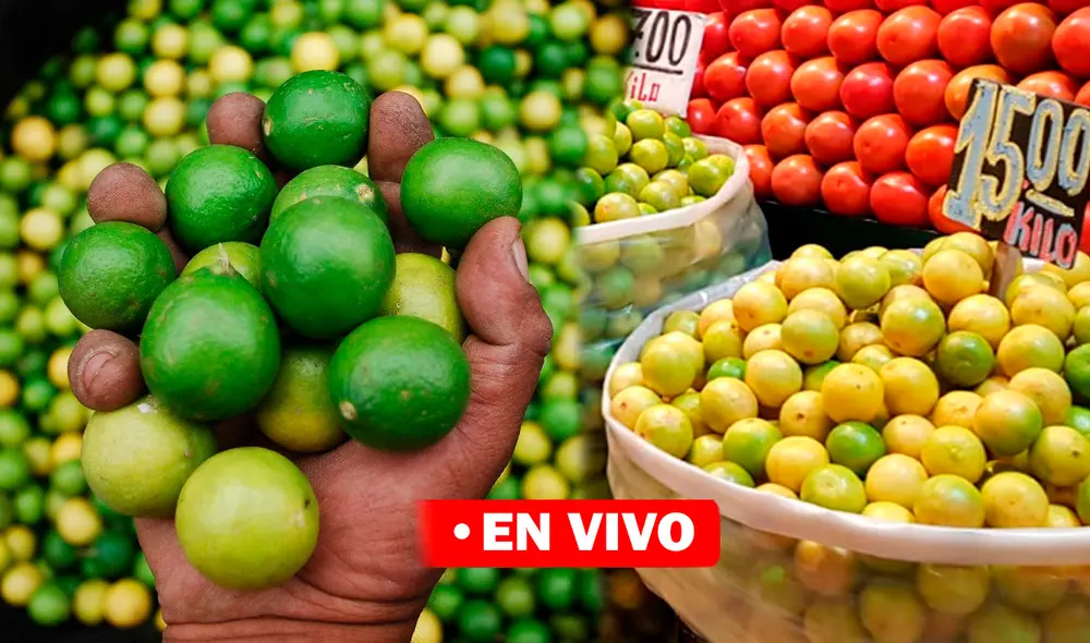 Precio del limón hoy: Conoce cuánto cuesta el kilo de limón en regiones y lima | Foto: Composición La República Precio del limón hoy: Conoce cuánto cuesta el kilo de limón en regiones y lima | Foto: Composición La República