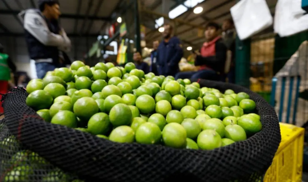 Limón baja a S/9,44 el kilogramo. Foto: Andina Limón baja a S/9,44 el kilogramo. Foto: Andina