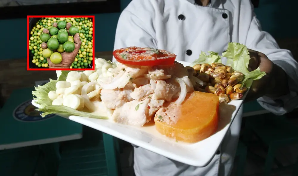 El valor del limón ha llegado a los S/20 por kilo en algunos mercados minoristas. Foto: composición LR