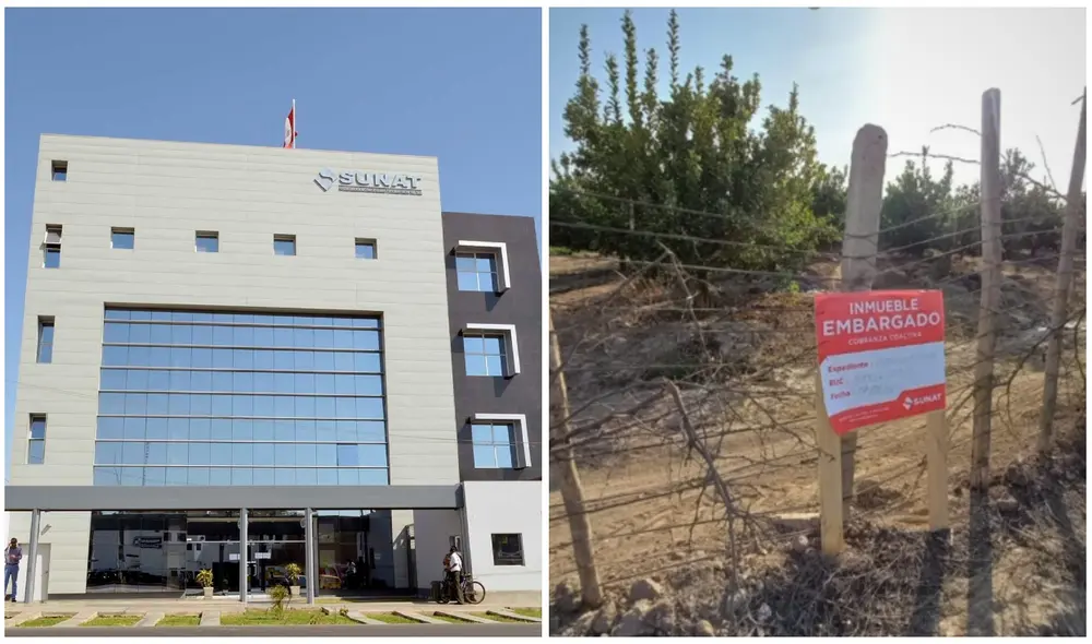 La Intendencia Regional de Ica, de la Sunat, rematará viviendas, terrenos y un estacionamiento en Nasca, Chincha, Ica y Lima. Foto: composición LR/Sunat La Intendencia Regional de Ica, de la Sunat, rematará viviendas, terrenos y un estacionamiento en Nasca, Chincha, Ica y Lima. Foto: composición LR/Sunat