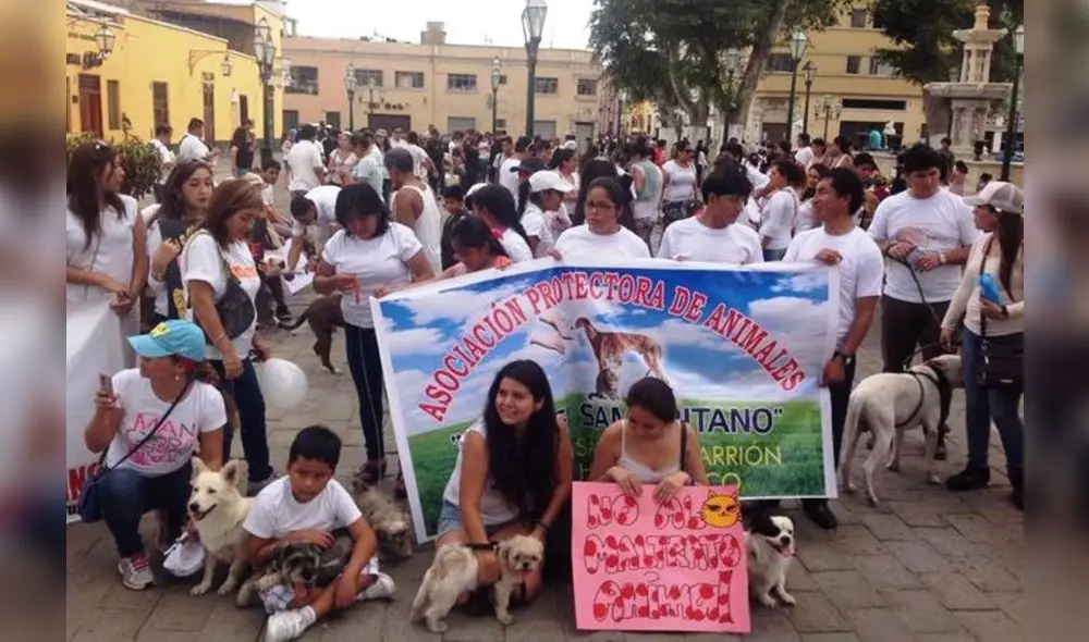 Los vecinos rechazan enérgicamente cualquier forma de maltrato animal. Foto. Andina/Referencial Los vecinos rechazan enérgicamente cualquier forma de maltrato animal. Foto. Andina/Referencial