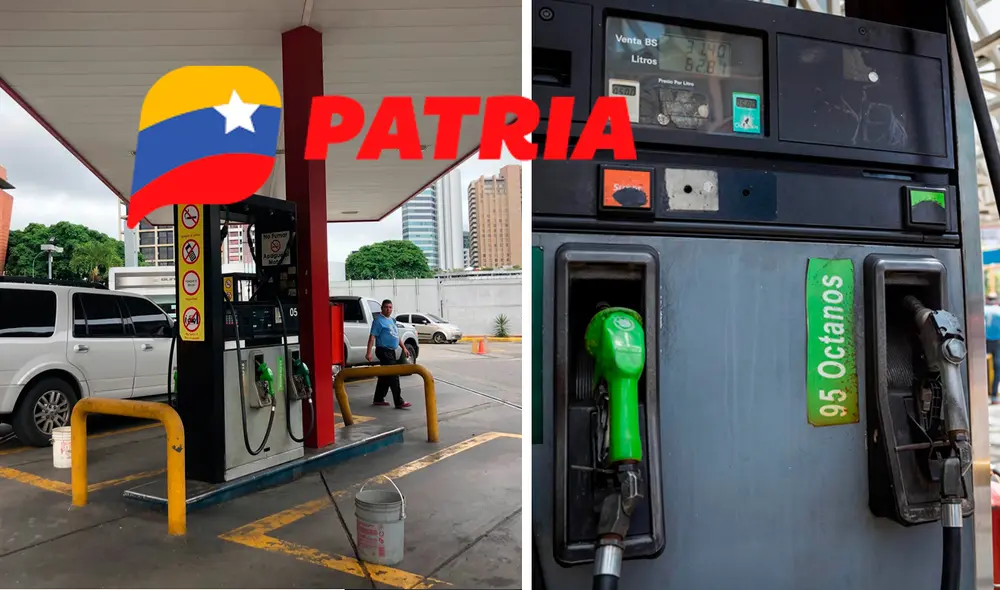 Conoce cuándo surtir tu vehículo del 18 al 24 de septiembre de 2023. Foto: composición LR/Primer Informe/Primera Hora/Patria Conoce cuándo surtir tu vehículo del 18 al 24 de septiembre de 2023. Foto: composición LR/Primer Informe/Primera Hora/Patria