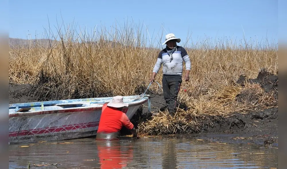 Sequía extrema Lago Titicaca Sequía extrema Lago Titicaca