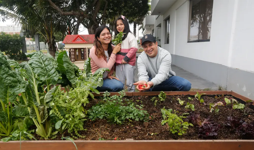 Los creadores de La Muyita, Magaly y José en el huerto casero  que instalaron en su jardín. Foto: Félix Contreras/ La República