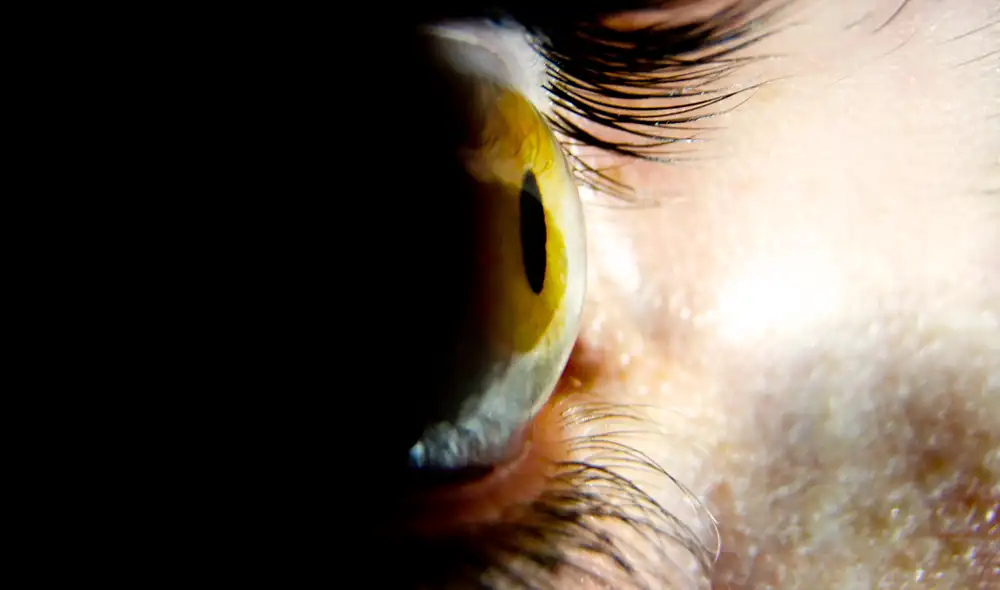 La experiencia fue descrita a partir de un experimento de alienación de palabras. Foto: Flickr