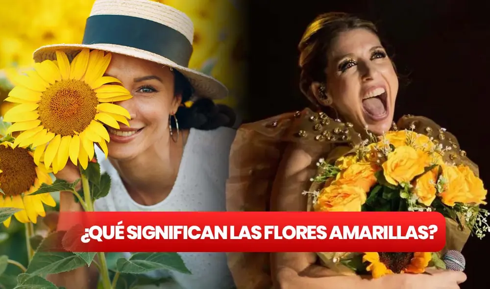 Las flores amarillas se regalan en Argentina en septiembre. Foto: composición LR/ Telemetro/ CrushPixel