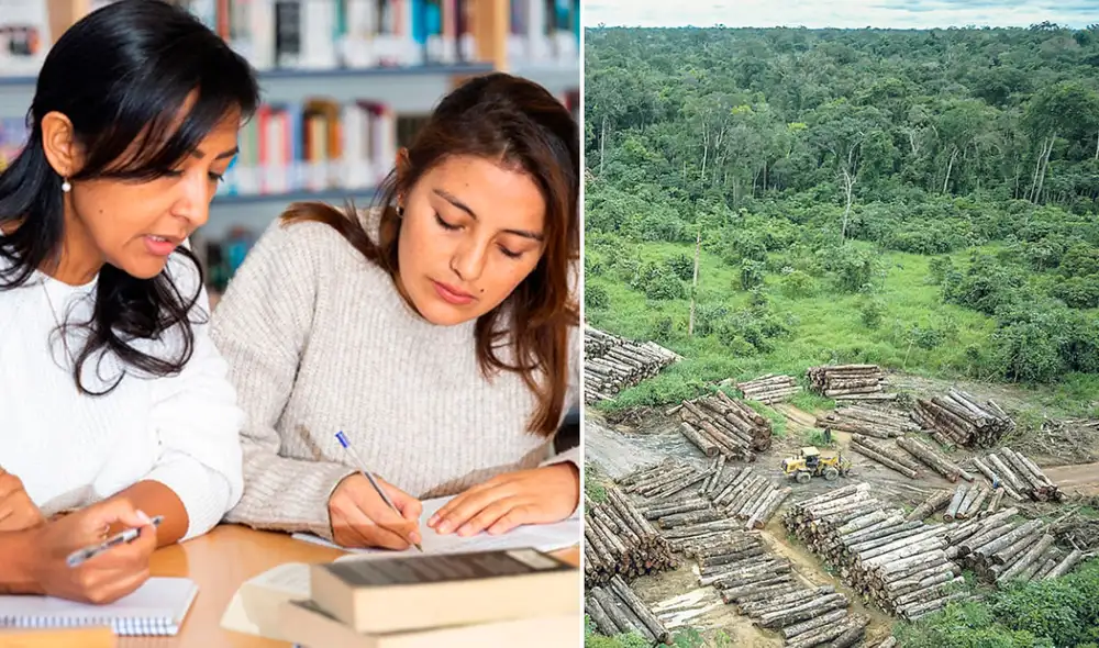 Estudiantes deberán hacer incidencia en problemas que afectan la naturaleza. Foto: composición La República/difusión