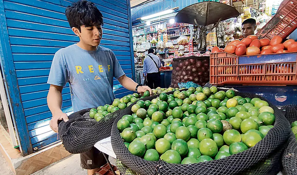Expectativa. Se prevé que el limón llegue a S/6,58 el kilo en diciembre, según el BCRP. Foto: Emmanuel Moreno/La República
