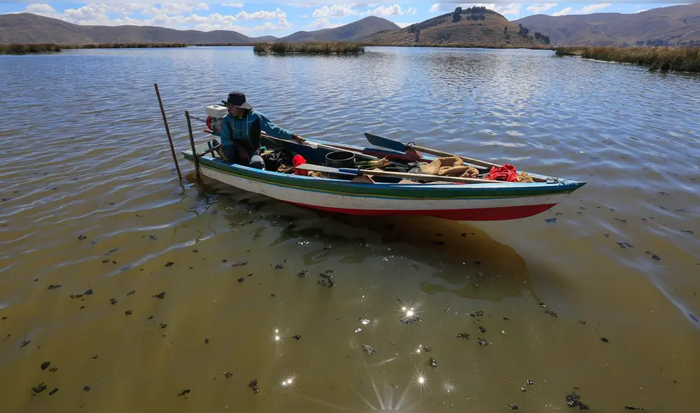Contaminación del lago. El Titicaca recibe desagues de Puno y ciudades aledañas lo que provoca daño ambiental. Foto: Rodrigo Talavera/LR