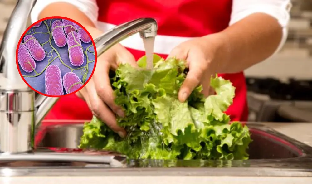 Un experto detalla el motivo principal por el que debes lavar siempre la lechuga antes de comerla. Foto: composición LR/Cuidate Plus/Ecología Verde