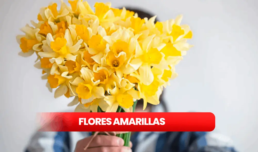 Este 21 de septiembre se regalan flores amarillas en todo el mundo. Foto: Composición LR/Freepik