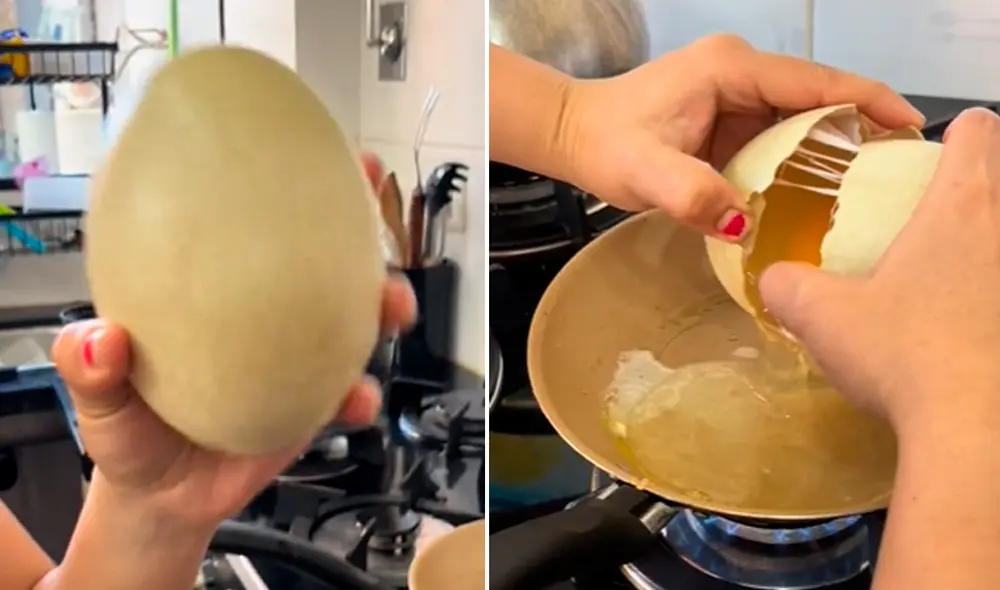 Muchos preguntaron si tenía el mismo sabor que el huevo frito de gallina. Foto: composición LR/TikTok/@angiecallejas