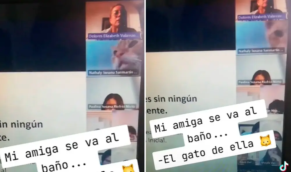 Los usuarios de TikTok quedaron enternecidos al ver la escena. Foto: composición LR/TikTok/@paushhhh