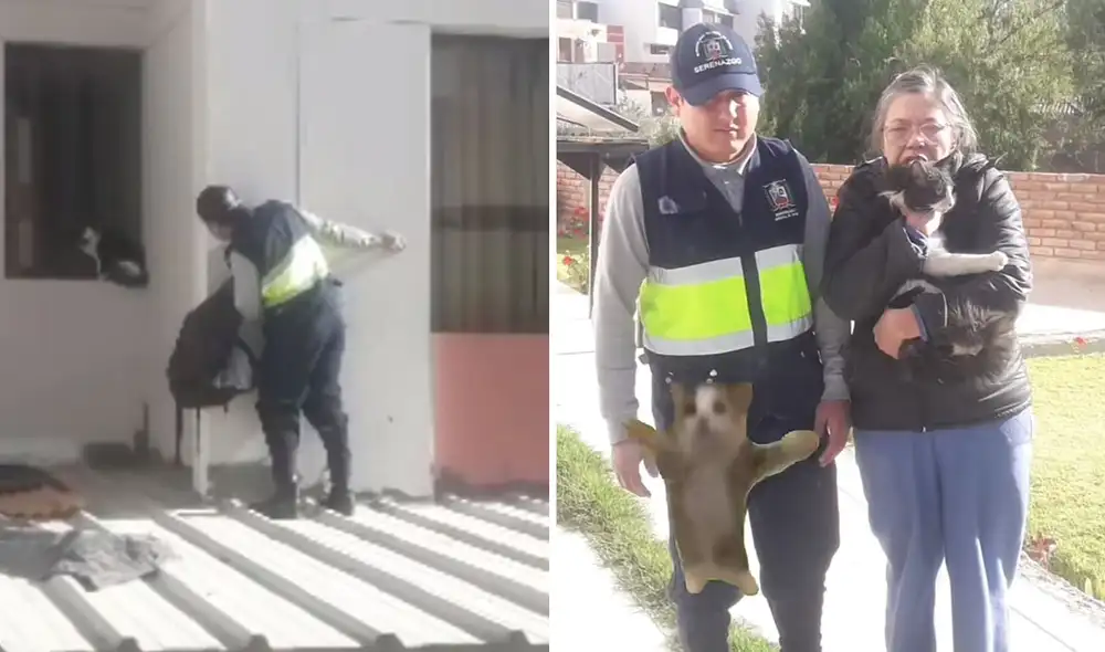 El video ha llegado a más de 200.000 usuarios. Foto: Composición LR / Captura TikTok @municipalidadcayma El video ha llegado a más de 200.000 usuarios. Foto: Composición LR / Captura TikTok @municipalidadcayma