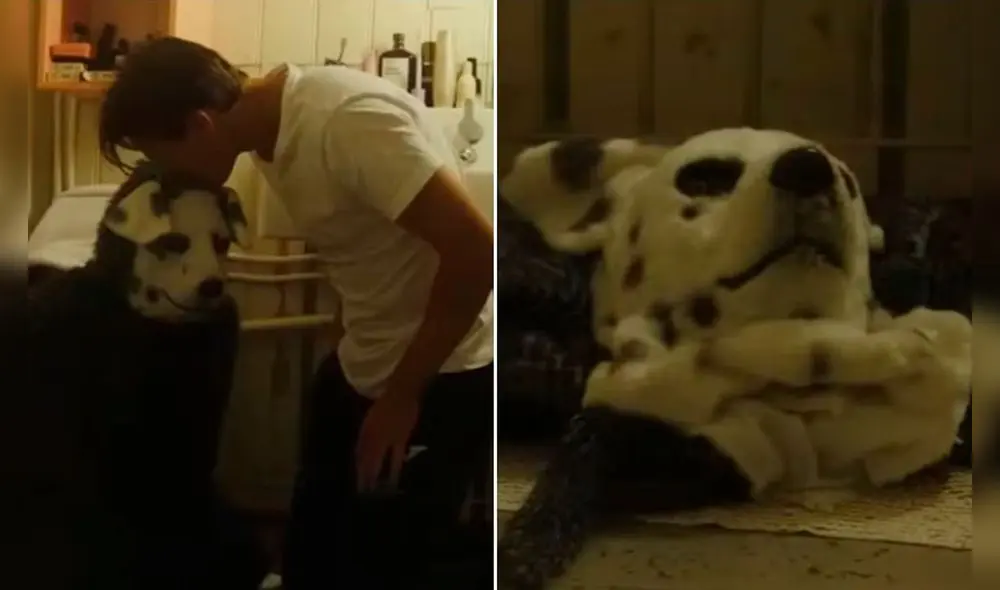 Christian acaricia a su perro llamado Frank, un humano. Foto: Viva Usa