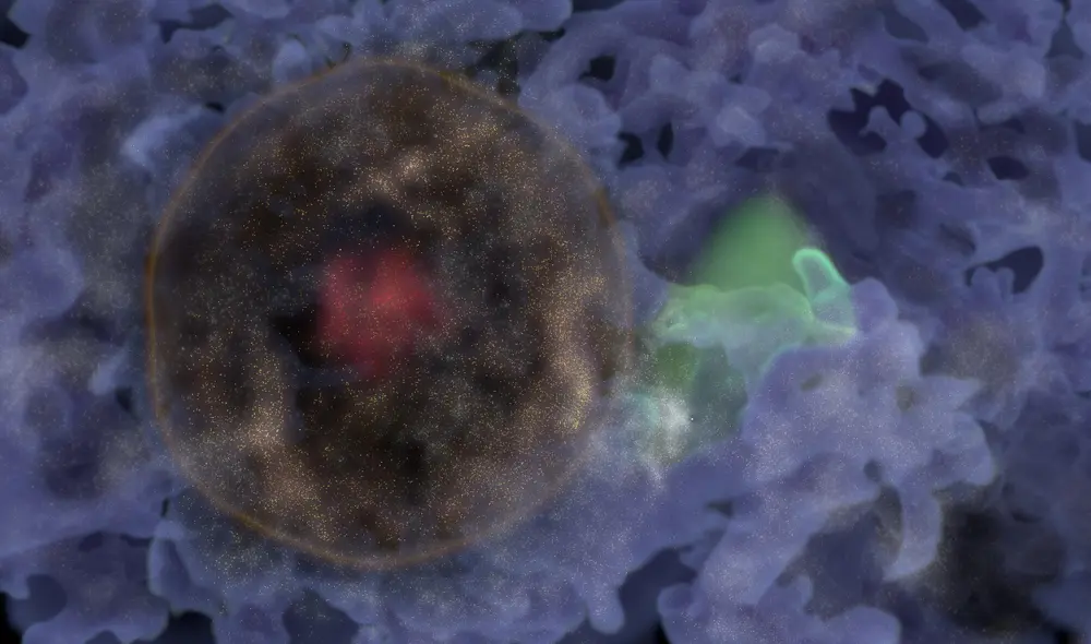 La burbuja tiene un diámetro que mide casi 1.000 millones de años luz. Foto: Universidad de Hawai