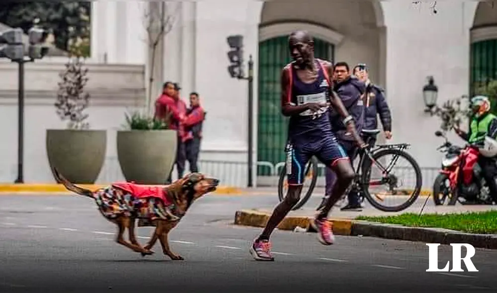 El hecho ocurrió durante la Maratón de Buenos Aires (Argentina). Foto: composición LR/@scherargei El hecho ocurrió durante la Maratón de Buenos Aires (Argentina). Foto: composición LR/@scherargei