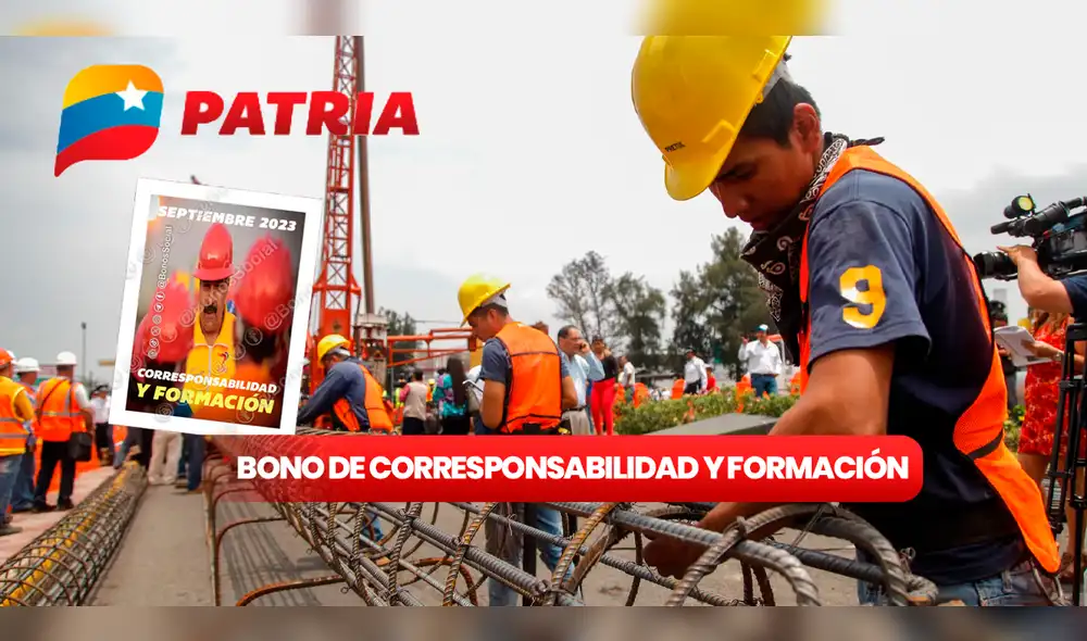 Mediante el Sistema Patria se entregan los Bonos de la Patria. Foto: composición LR/Patria/BonosSocial/X/La Nación