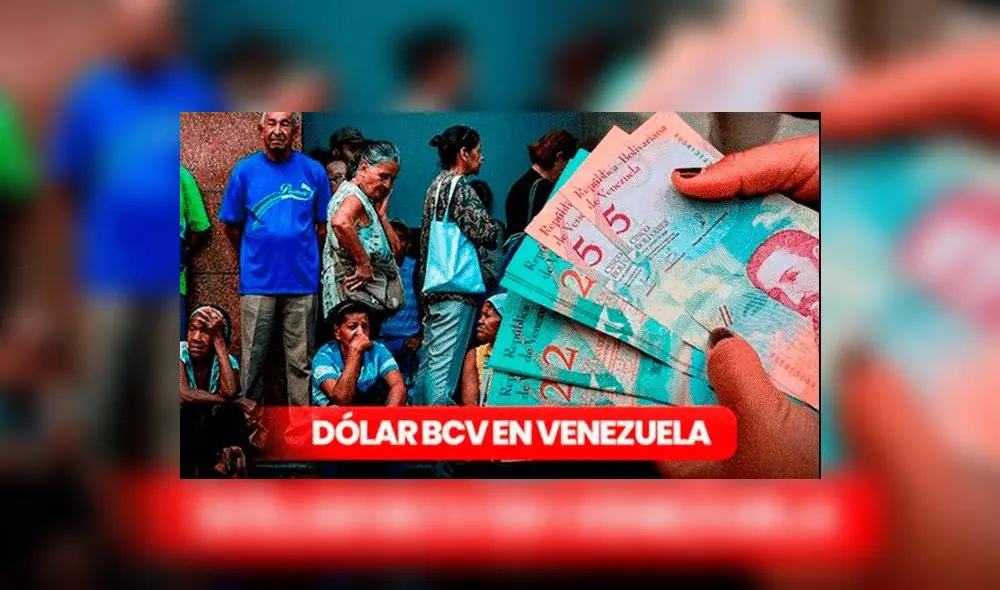 Revisa el precio del dólar BCV en Venezuela, HOY lunes 2 de octubre de 2023. Foto: composición LR Revisa el precio del dólar BCV en Venezuela, HOY lunes 2 de octubre de 2023. Foto: composición LR