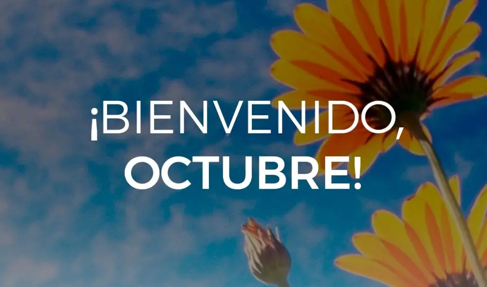 Las mejores frases para iniciar agosto con las mejores expectativas. Foto: Veterinaria La Pradera Las mejores frases para iniciar agosto con las mejores expectativas. Foto: Veterinaria La Pradera