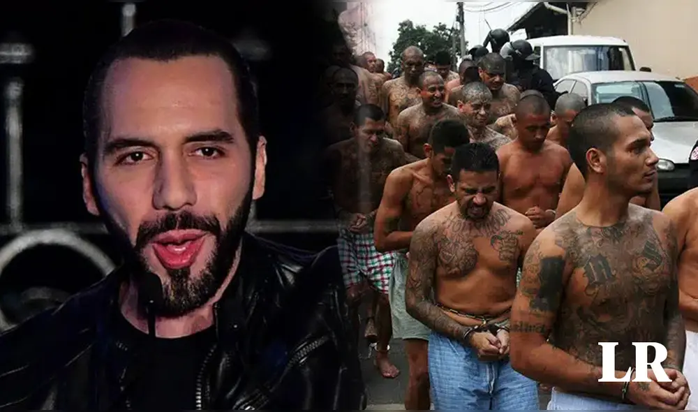 El presidente Nayib Bukele celebró la considerable disminución de los homicidios en El Salvador. Foto: composición de Fabrizio Oviedo para LR/AFP El presidente Nayib Bukele celebró la considerable disminución de los homicidios en El Salvador. Foto: composición de Fabrizio Oviedo para LR/AFP