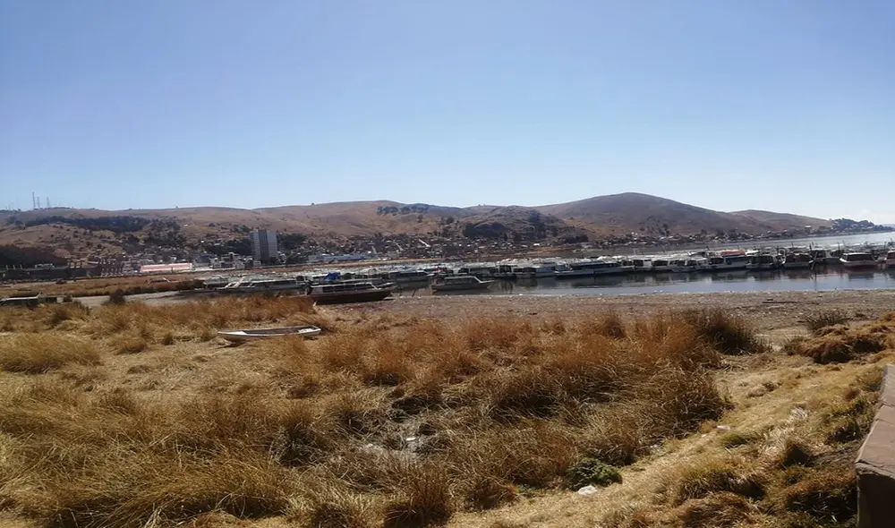 Totorales que se ubican en el lago Titicaca se han secado debido a la falta de lluvias en la región Puno.  Foto: La República
