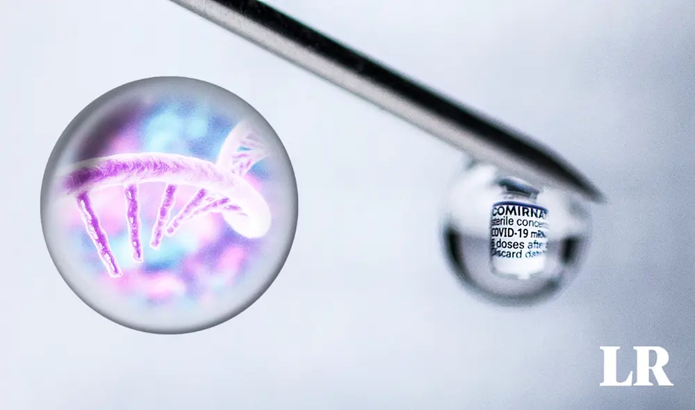 Las primeras vacunas contra la COVID-19 que se desarrollaron estuvieron basadas en esta tecnología. Foto: composición de Fabrizio Oviedo/La República/AFP Las primeras vacunas contra la COVID-19 que se desarrollaron estuvieron basadas en esta tecnología. Foto: composición de Fabrizio Oviedo/La República/AFP