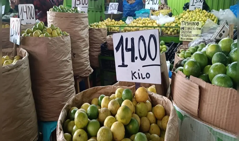 Se ofrecen diferentes variedades de limón a los consumidores. Foto: LR Se ofrecen diferentes variedades de limón a los consumidores. Foto: LR