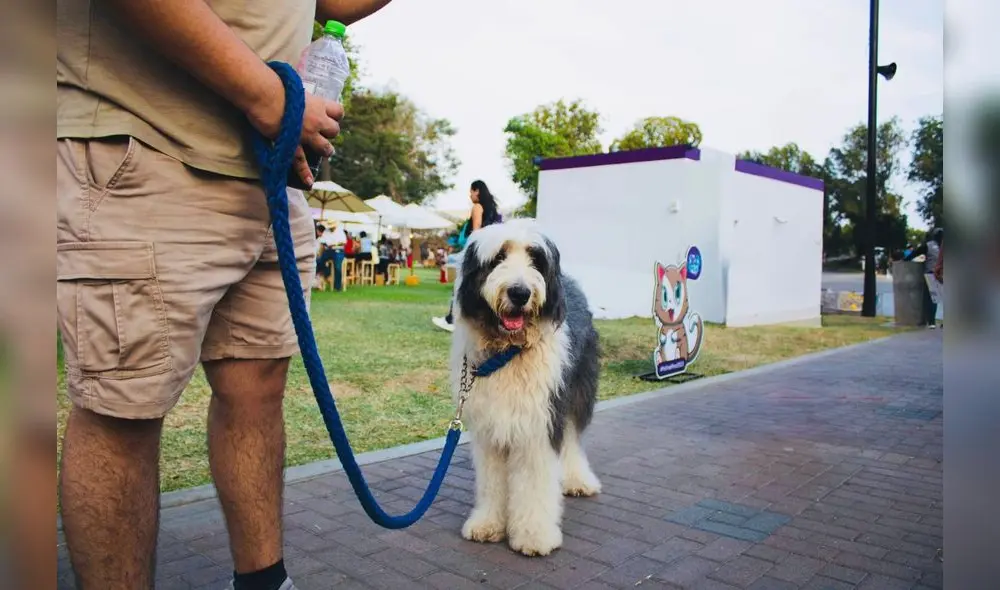 Foto: difusión Foto: difusión