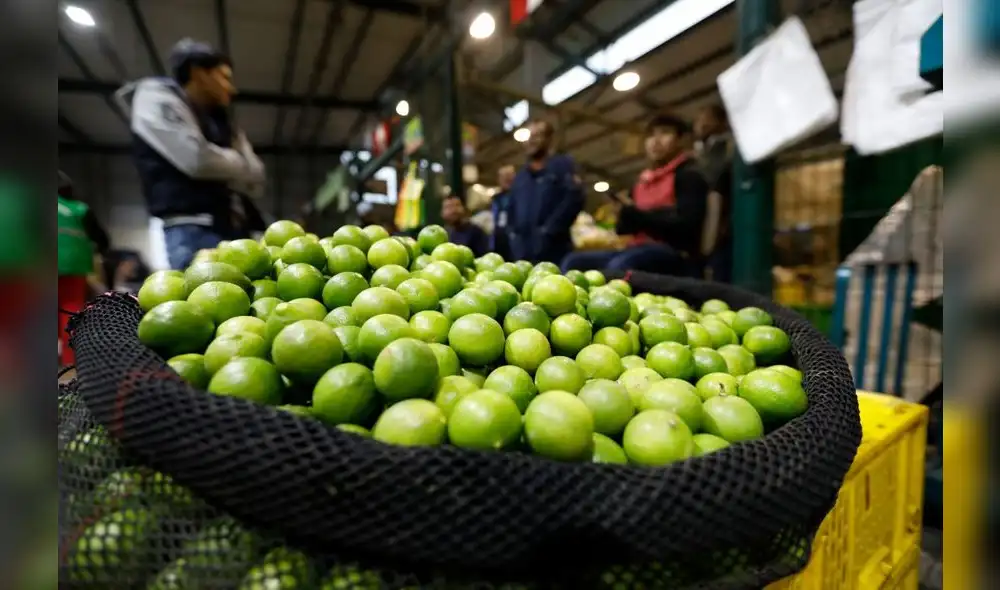 El limón sutil en bolsa se ofreció a S/8,50 el kilogramo y el limón en cajón a S/9,24 el kilogramo. Foto: Andina El limón sutil en bolsa se ofreció a S/8,50 el kilogramo y el limón en cajón a S/9,24 el kilogramo. Foto: Andina