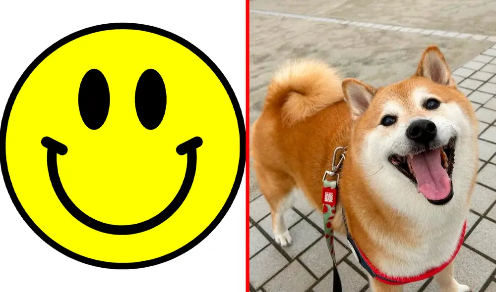 Si bien smiley face se creó en 1963, se sigue utilizando en la actualidad. Foto: Pinterest/Balltze/Instagram Si bien smiley face se creó en 1963, se sigue utilizando en la actualidad. Foto: Pinterest/Balltze/Instagram