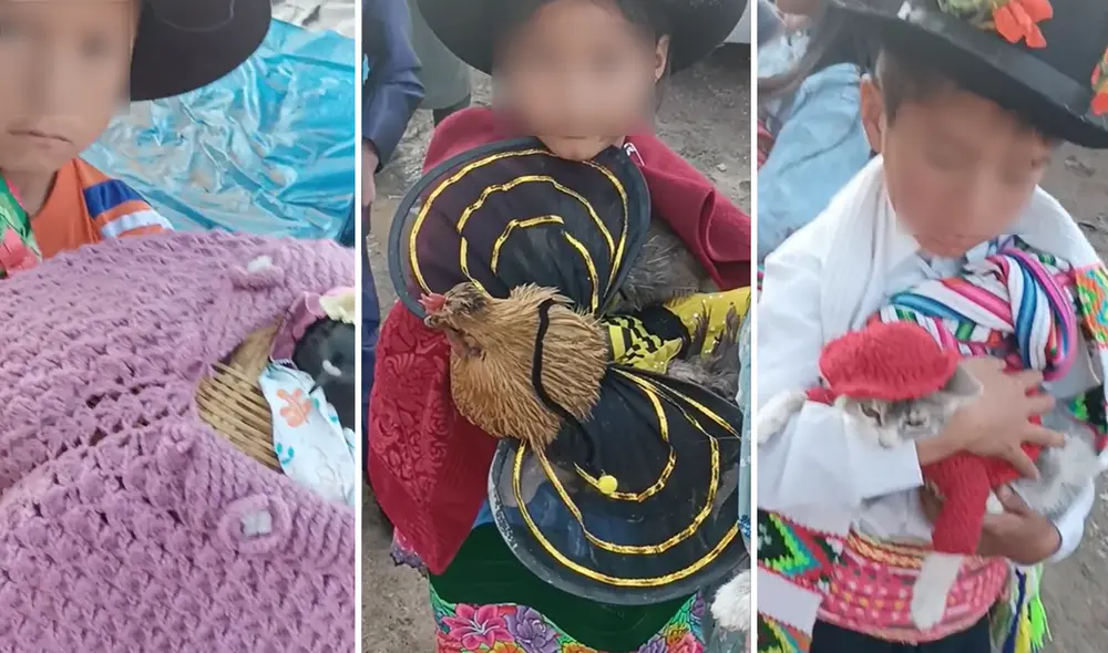 Clip tiene 10.000 reacciones en TikTok. Foto: composición LR/ Taniapepare/TikTok