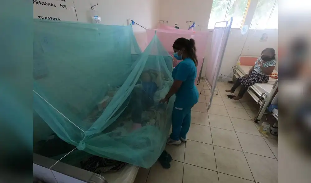 Cifras. Casos de dengue han descendido, pero autoridades sanitarias piden a población no bajar la guardia y prevenir.