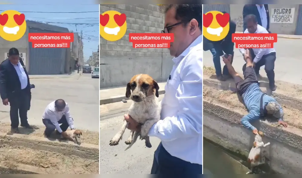 Hombres fueron los héroes del perrito que rescataron. Foto: composición LR/@titocbast - Video: @titocbast Hombres fueron los héroes del perrito que rescataron. Foto: composición LR/@titocbast - Video: @titocbast