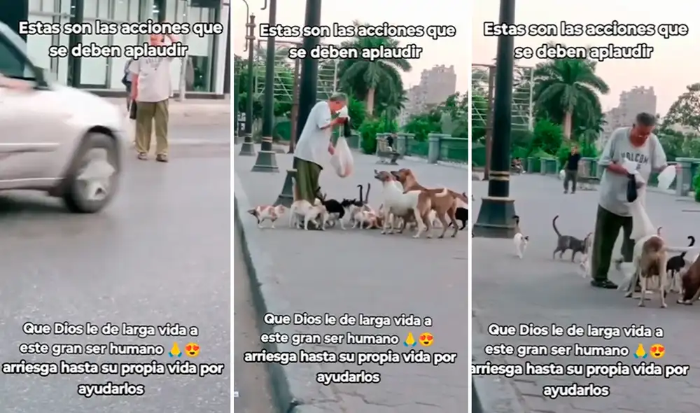 El video, hasta el momento, tiene 688.200 reproducciones. Foto: composición LR/TikTok/@barny2011