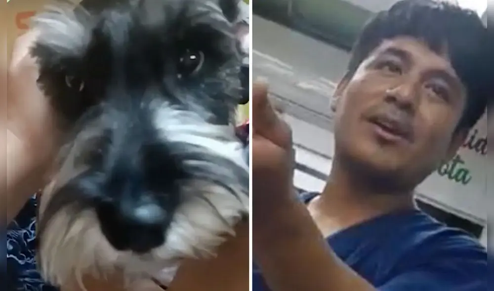 La veterinaria se niega a entregar los videos completos del baño de Oddy. Foto: composición LR / capturas Panamericana La veterinaria se niega a entregar los videos completos del baño de Oddy. Foto: composición LR / capturas Panamericana