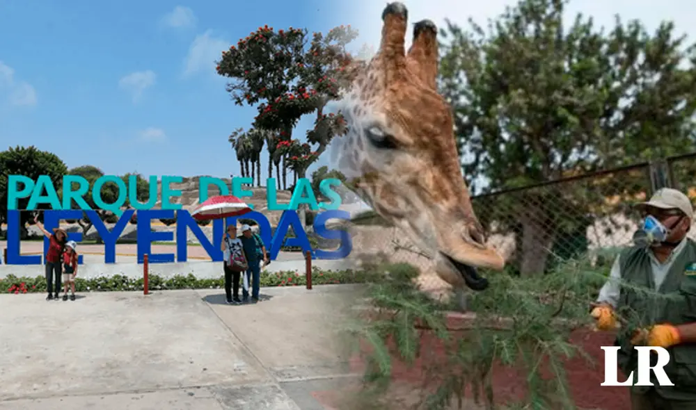 El nuevo Parque de las Leyendas de Huachipa en Lima ofrece la posibilidad de conocer diversas especies de animales. El nuevo Parque de las Leyendas de Huachipa en Lima ofrece la posibilidad de conocer diversas especies de animales.