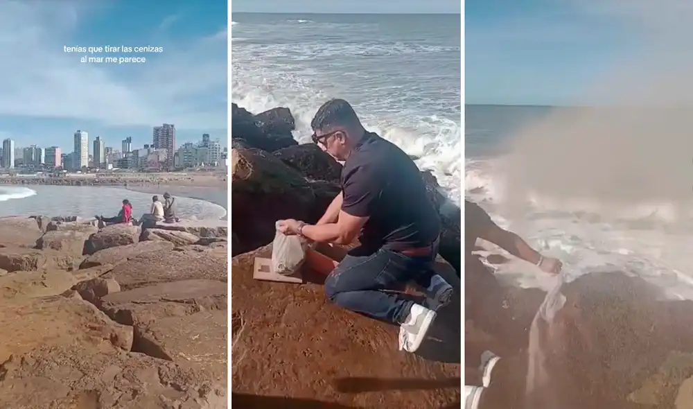 El video generó gran cantidad de comentarios. Foto: composición LR/ TikTok/@Fausballadares El video generó gran cantidad de comentarios. Foto: composición LR/ TikTok/@Fausballadares