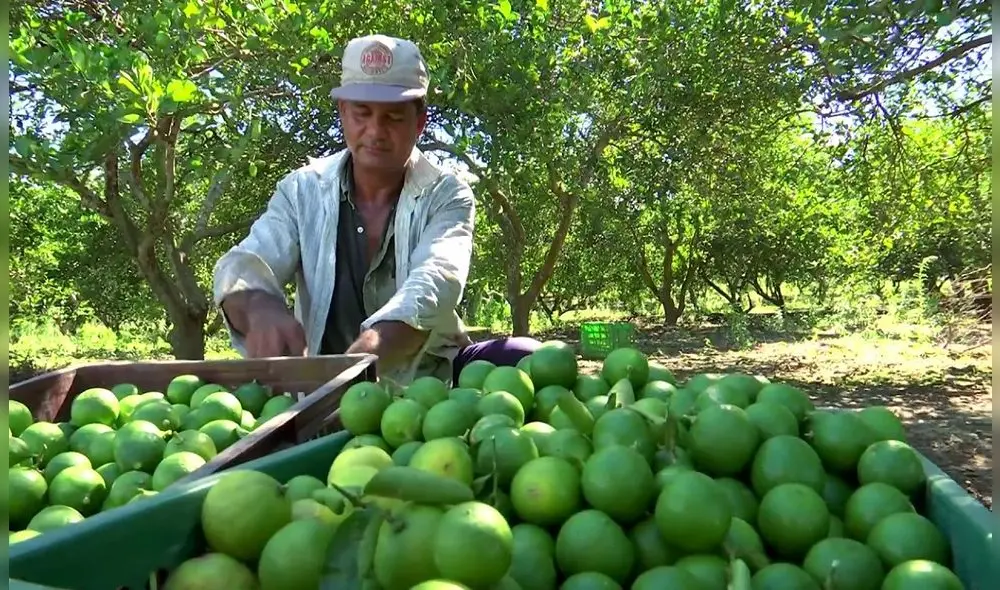 Ciudadanos han creado mesas técnicas para trasladar reclamos al Ejecutivo. Foto: Midagri Ciudadanos han creado mesas técnicas para trasladar reclamos al Ejecutivo. Foto: Midagri