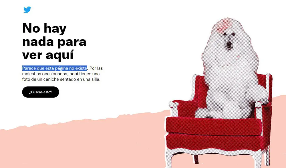 Usuarios se sorpredieron al ver que 'X' desapareció totalmente por unos minutos. Foto: captura de X