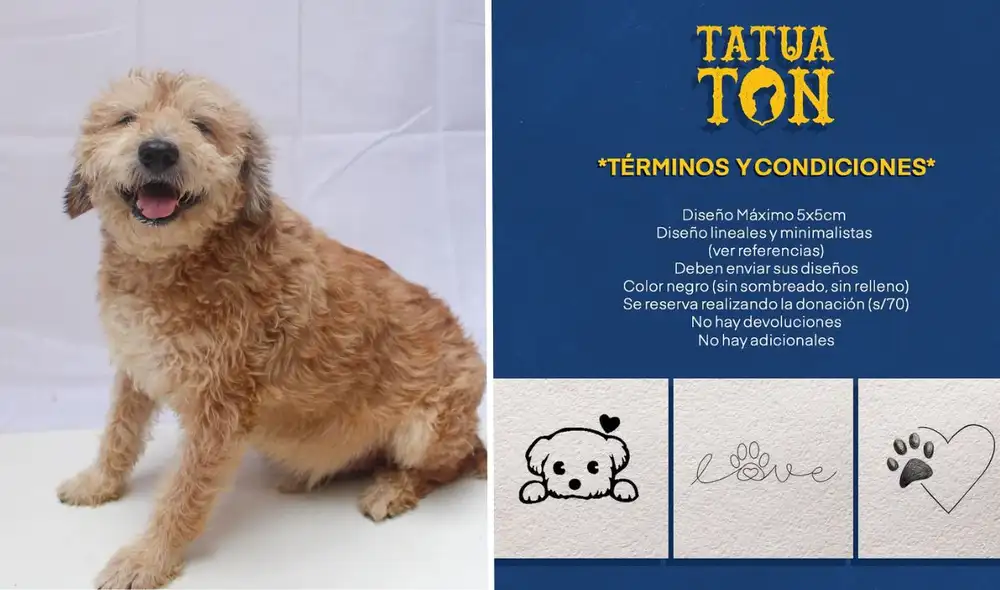 Los tatuajes tendrán un costo de S/70. Foto: composición LR