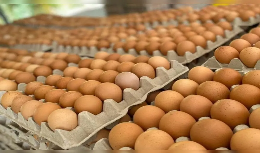 El Día Internacional del Huevo se celebra el segundo viernes de octubre desde 1996. Foto: Andina