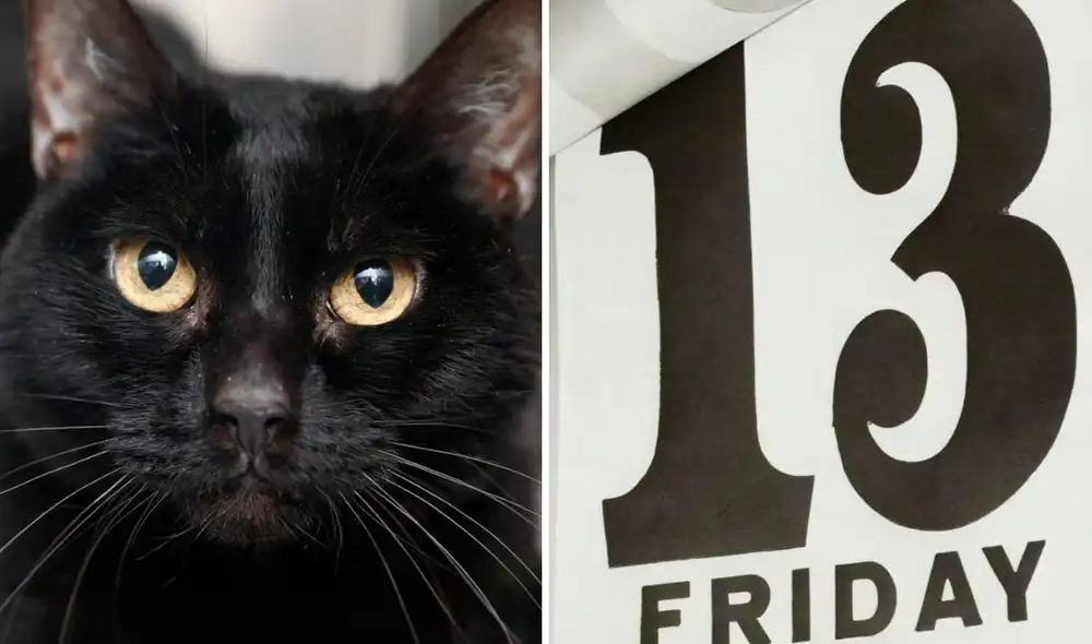 En esta fecha algunos evitarán algunos hechos como cruzarse con un gato negro. Foto: ComposiciónLR/Archivo/La República