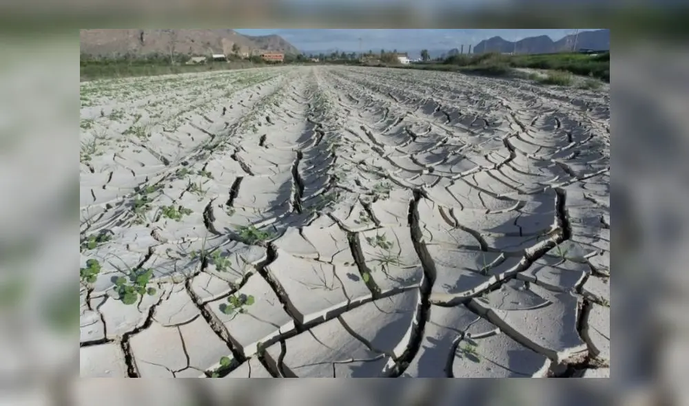 En la imagen, Campos de Orihuela afectados por la sequía. El sur de Europa se verá más afectado por la crisis climática. Foto: EFE En la imagen, Campos de Orihuela afectados por la sequía. El sur de Europa se verá más afectado por la crisis climática. Foto: EFE